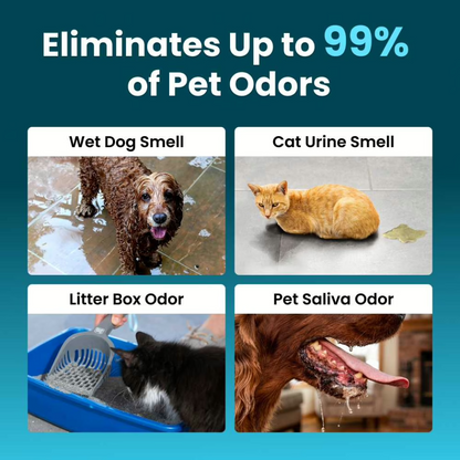 HapMax™ Air Purifier — Eliminate Pet Smells In Under 24 Hours & Stop Them From Coming Back