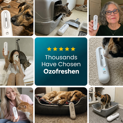 HapMax™ Air Purifier — Eliminate Pet Smells In Under 24 Hours & Stop Them From Coming Back